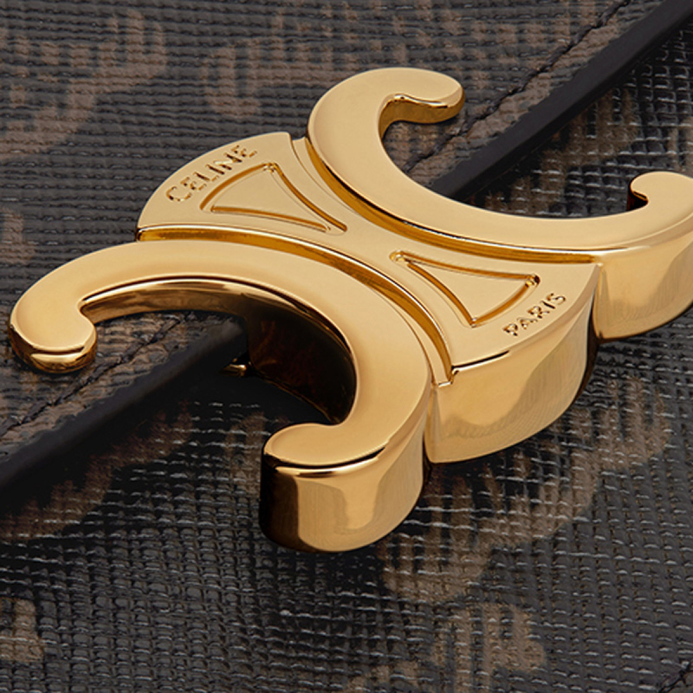 Картхолдеры и кошельки CELINE Triomphe, 10I582CPJ-04LU