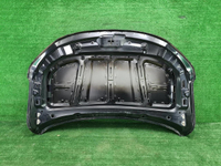 Капот Geely Coolray (2019-2024)