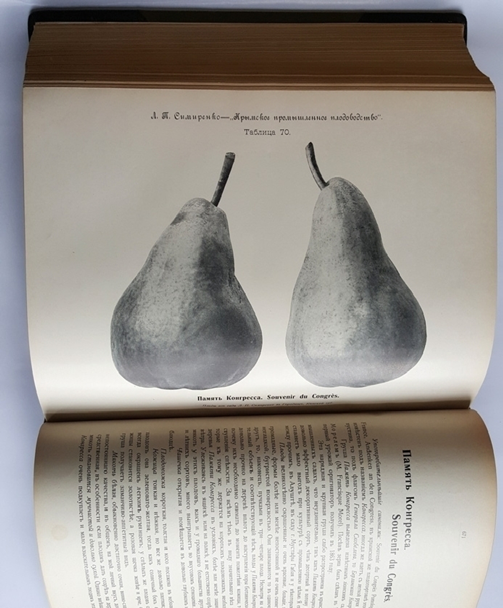 "Крымское промышленное плодоводство". Л.П. Симиренко. 0г. - редкая книга