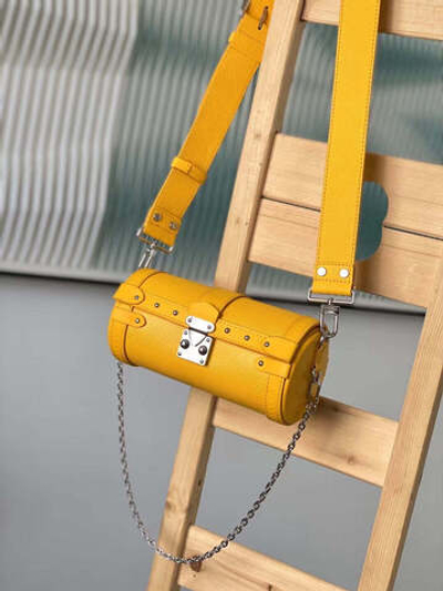 Louis Vuitton Papillon Trunk