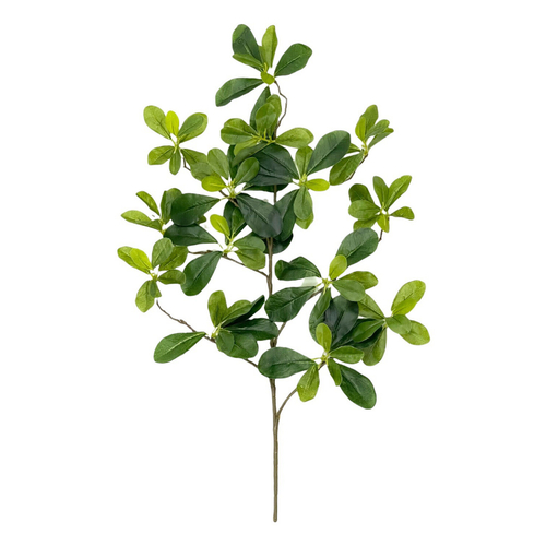 Шеффлера ветка 65 см