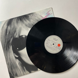 Винтажная виниловая пластинка LP Amanda Lear Incognito (Germany 1981) New York