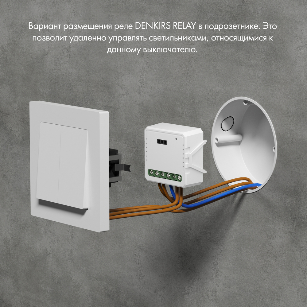 RL1004-DM Двухканальное Wi-Fi реле-диммер 2 x 150 Вт