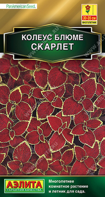 Колеус блюме Скарлет 5 шт (Аэлита)
