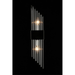 Настенный светильник Aployt Klod APL.639.11.02