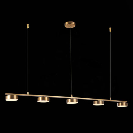 Светильник подвесной ST Luce Pances SL6000.303.05