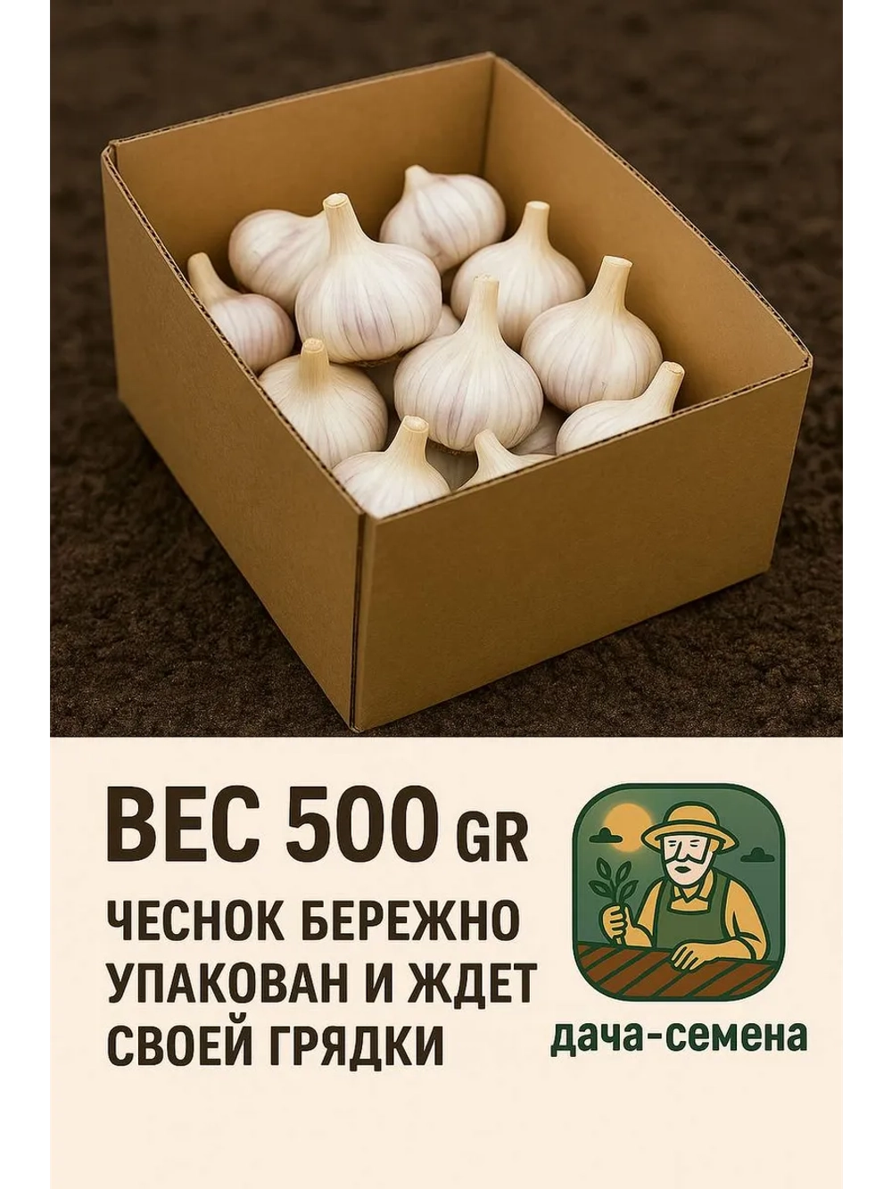 Чеснок яровой Любаша