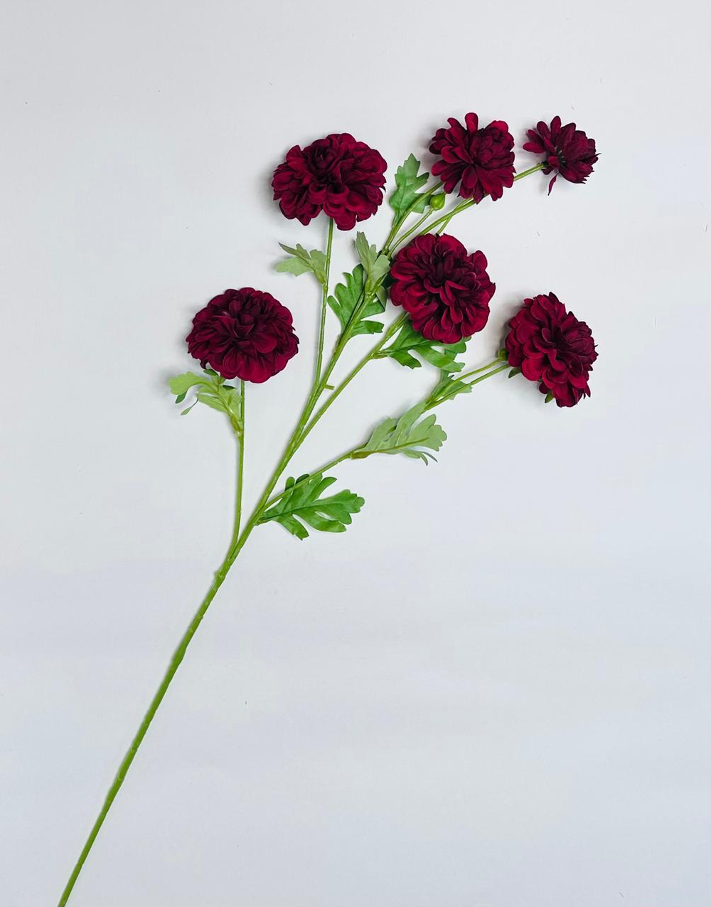 Ветка георгин декоративный