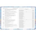 Дневник 5-11 класс 48 л., твердый, BRAUBERG, блестки, с подсказом, "Art", 106422