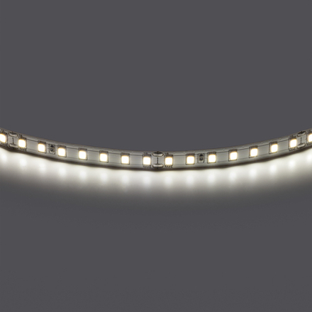 420844 Лента двухсторонняя LIGHTSTAR LED 24V 12W 360G 5m/roll 4000K