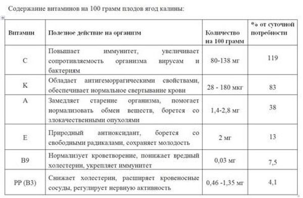 Калина красная: полезные свойства и рецепты для иммунитета