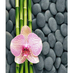 Штора для ванной комнаты Фотопринт 180*200 "ОРХИДЕЯ" с кольцами Z-004