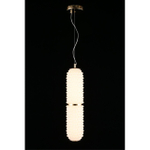 Подвесной светодиодный светильник Aployt Ozeynn APL.332.06.22