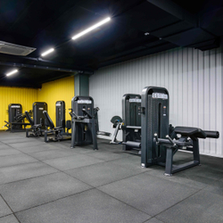 U3024D (E5024) Глют-машина. Ягодичные. Стек 95 кг