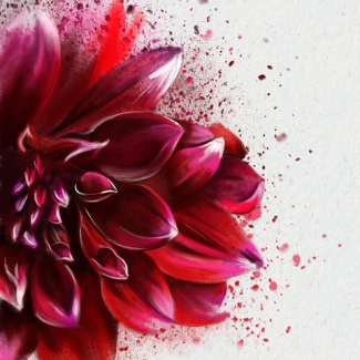 Четвертая новость магазина