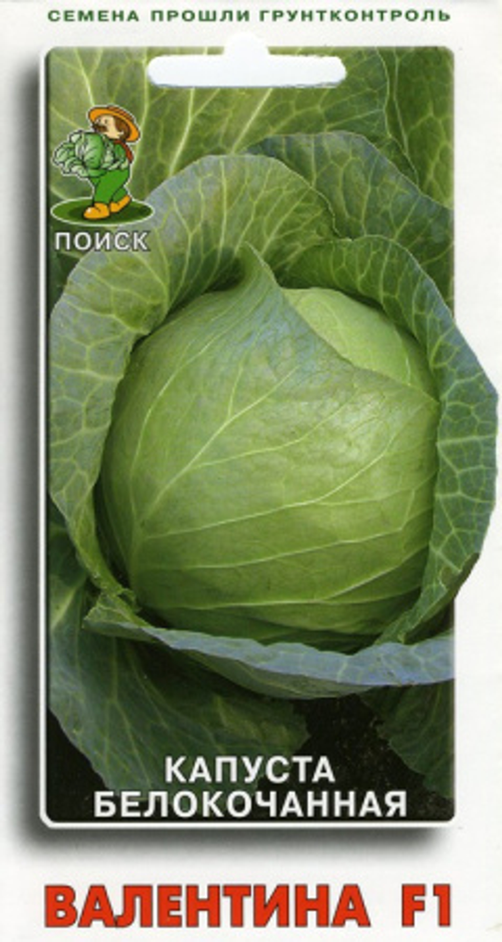 Капуста б/к Валентина Поиск