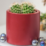 Кашпо керамическое Эко VipSet 0,22л бордо