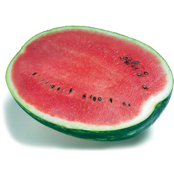 Арбуз Топ Ган F1 (50шт)  Витагрин Профи