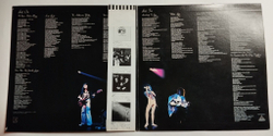 Винтажная виниловая пластинка LP Queen A Day At The Races (Japan 1976)
