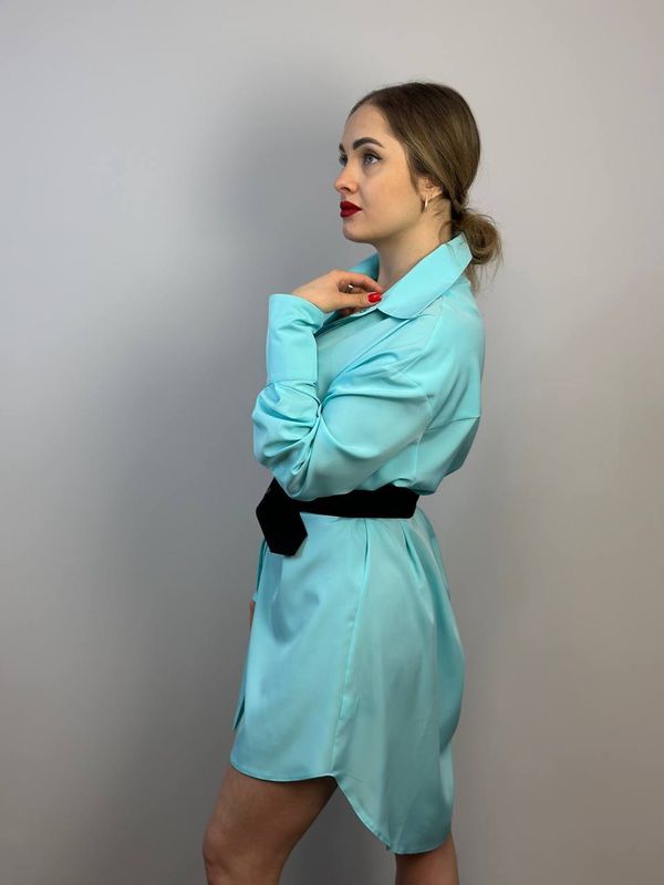 УДЛИНЕННАЯ РУБАШКА. PROF