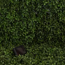 Садовая гирлянда ЭРА ERASF22-29 на солнечной батарее Бахрома холодный свет 2,4Х0,5м | Садовые декоративные светильники