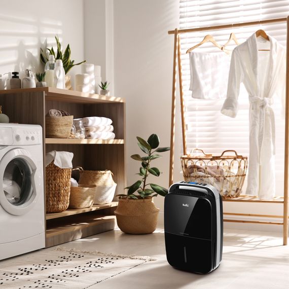 Осушитель воздуха Ballu BD30MN BLACK купить в Москве и Московской области по низкой цене с доставкой по России — (5) Осушитель воздуха Ballu BD30MN BLACK — (5)