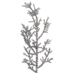 Ветка хвойная «Очарование» 55 см, Серебро