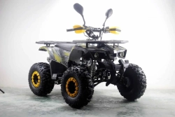 Квадроцикл MOTAX ATV Grizlik Premium 125cc