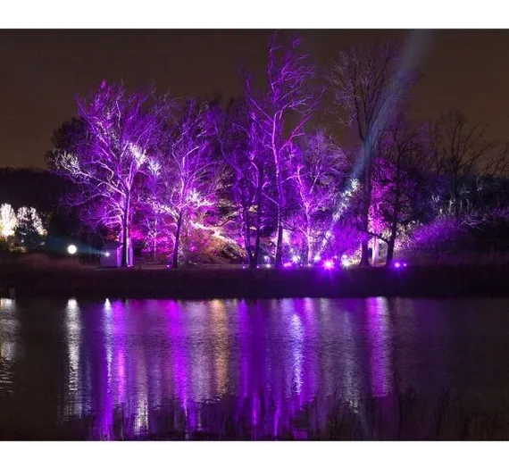 Elation SIXPAR Z19 IP