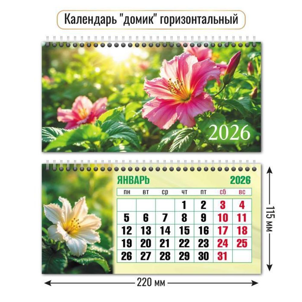 Календарь-домик горизонтальный 2026 цветы (Квадра)