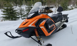 Снегоход Woideal WD 300