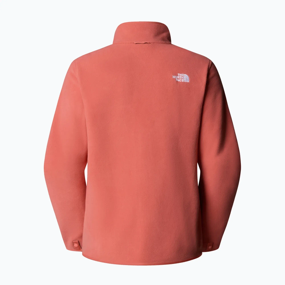 Женская флисовая толстовка The North Face Glacier Fleece mars dust