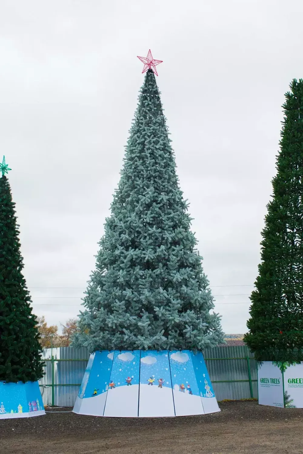 уличная елка ствольная Альпийская изумрудная