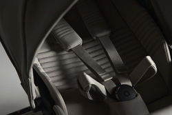 Детская коляска Anex Eli 2 в 1 без рюкзака Santal El-06