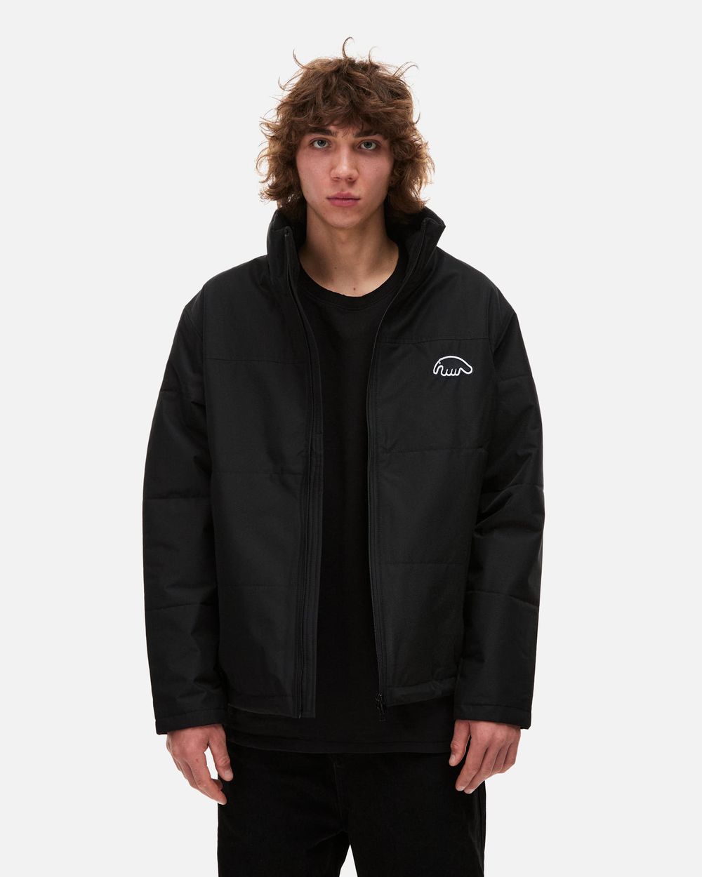 Пуховик Anteater Downlight черный