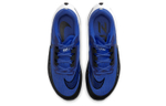 Кроссовки Nike Zoom Rival Fly 3