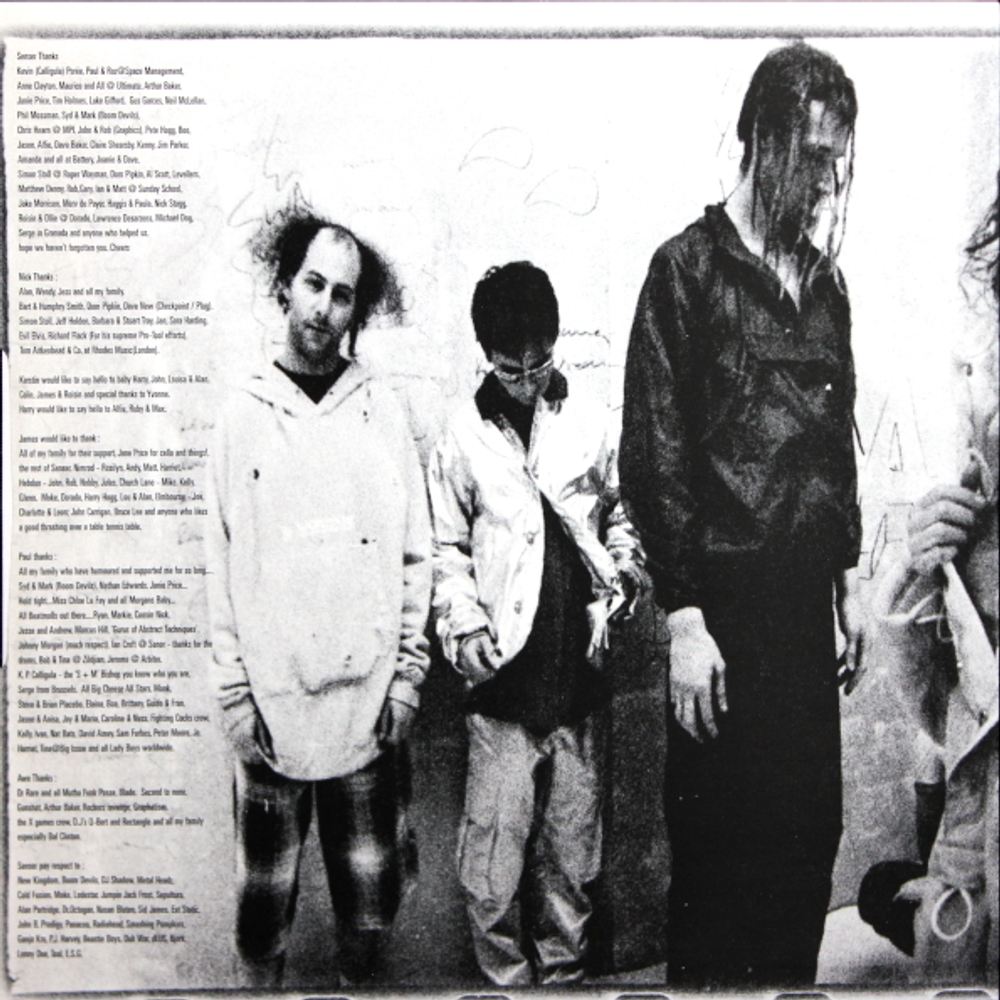 Senser / Asylum (LP)