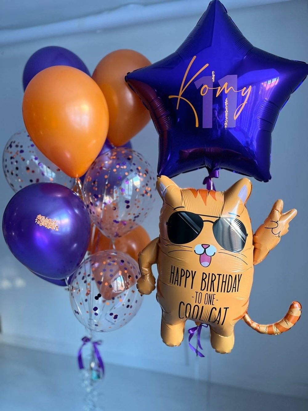 Набор воздушных шаров Кот рыжий №2428