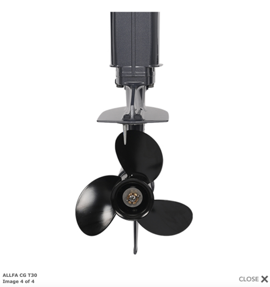 Лодочный мотор ALLFA CG T30 (30 л.с. двухтактный)