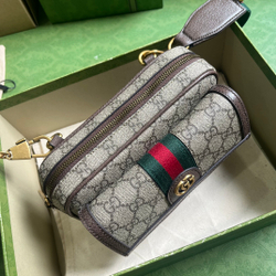 Gucci Ophidia GG Mini 20 cm