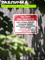 Табличка для частной территории "Частная собственность", на дом, для участка, организаций, предупреждающая, 40х30 см, Silver Plane x Айдентика Технолоджи