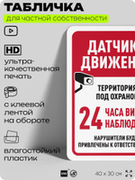 Табличка для частной территории "Датчики движения", на дом, для участка, организаций и частных территорий, предупреждающая, 40х30 см, Silver Plane x Айдентика Технолоджи