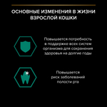Влажный корм Pro Plan Sterilised для взрослых кошек мультипак микс с индейкой в желе с уткой в соусе с ягненком в желе 85 г х 40 шт