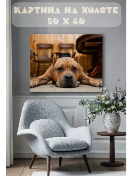 Картина на стену 40 X 50 Пес