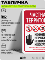 Табличка для частной территории "Частная территория", на дом, для участка, организаций, предупреждающая, 40х30 см, Silver Plane x Айдентика Технолоджи