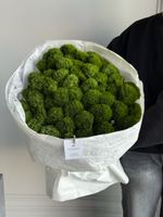 Моно букет из диантусов сорта Грин трик 51 шт