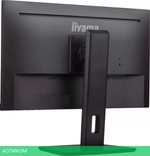 Монитор Iiyama ProLite XUB2493HS-B6