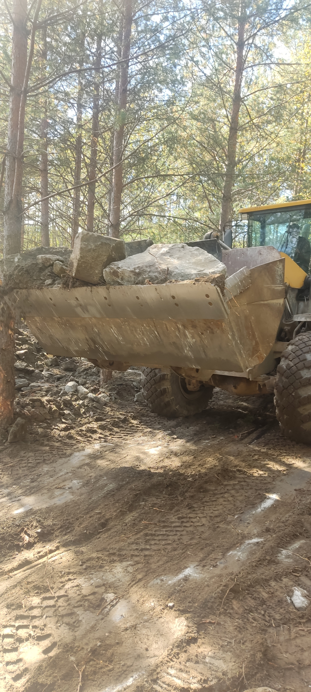 Расчистка участка в Екатеринбурге