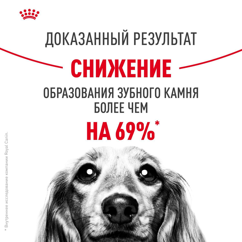 Royal Canin Mini Dental Care Корм сухой для собак мелких размеров 3 кг
