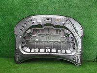 Капот Chery Tiggo 7 Pro (2020-2024)